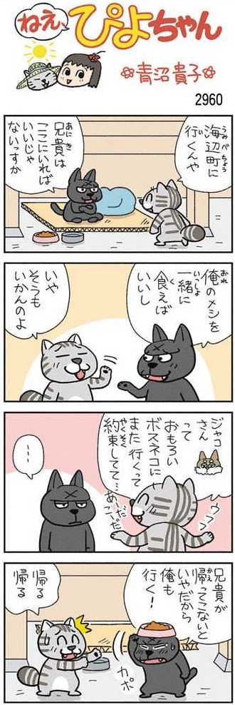 ねえ、ぴよちゃん：中日新聞Web