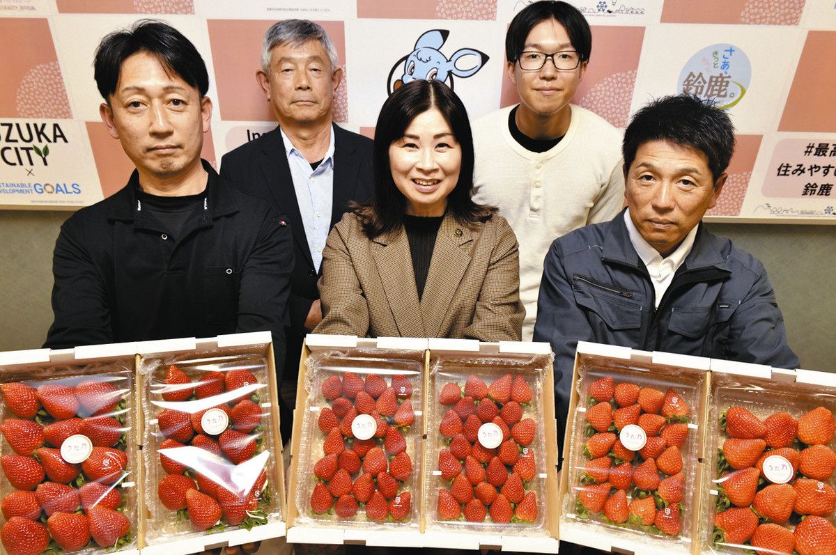【種名　日本鹿の角】オリジナル彫刻使用⭐️苺畑のうさちゃんたち⭐️☆匿名 香り良くってフルーティーな県開発イチゴ「うた乃」 鈴鹿で栽培広がる