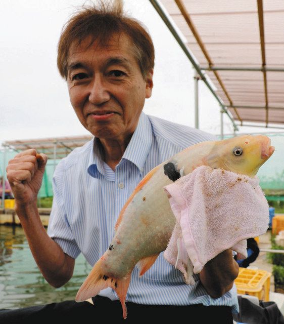 正見真一郎のつり初釣戦 川島釣り堀でニシキゴイをゲット 中日スポーツ 東京中日スポーツ