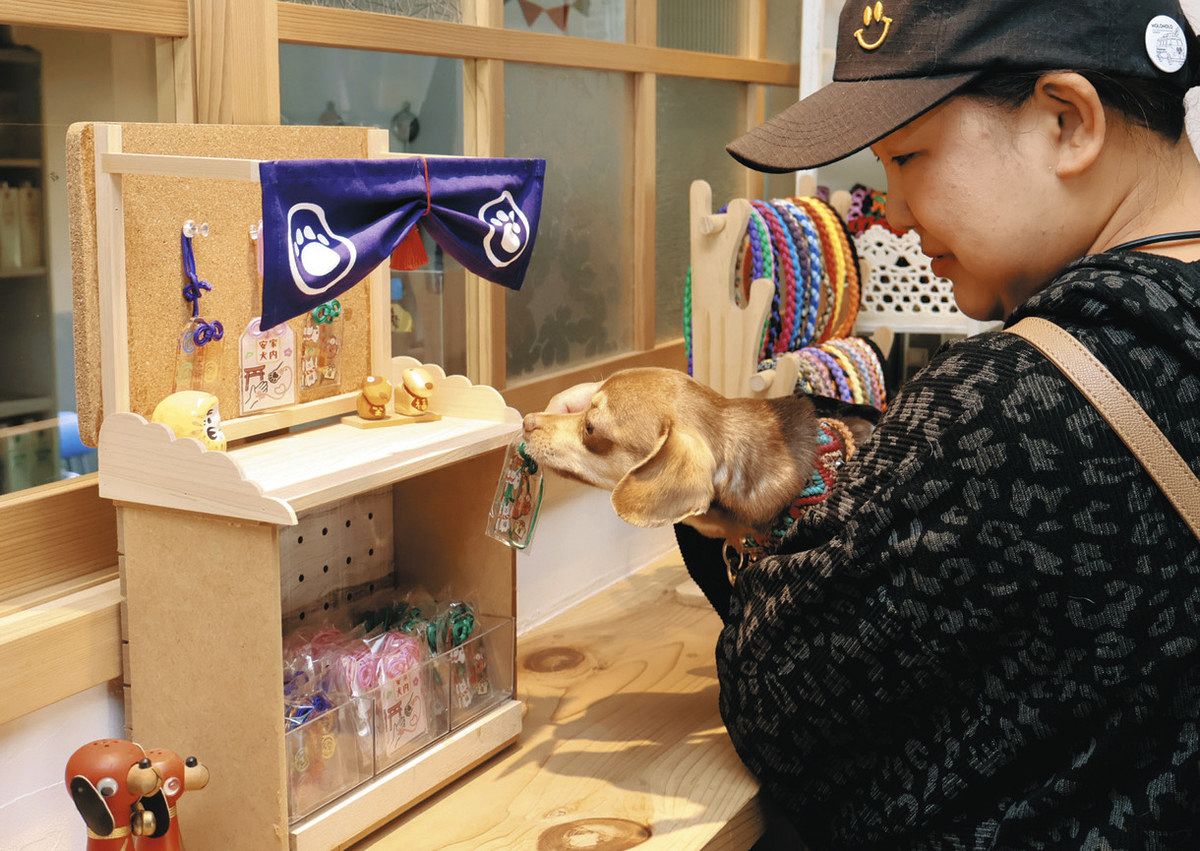 お守りでワンコに幸せを 「お犬様」祭る豊田・津島神社の地域住民制作