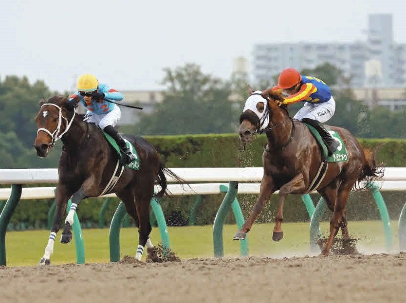 みやこS】2番人気ダブルハートボンドがJRAレコードで重賞初勝利、1番