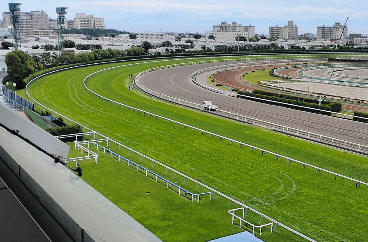 函館 競馬 場