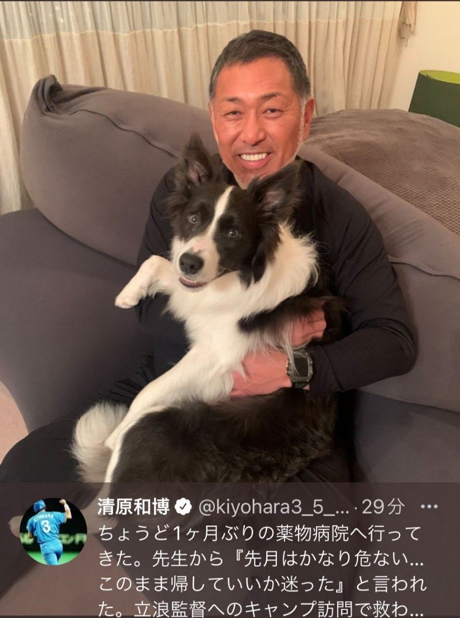 写真 愛犬を抱く清原さん 中日スポーツ 東京中日スポーツ 写真 愛犬を抱く清原さん 中日スポーツ 東京中日スポーツ