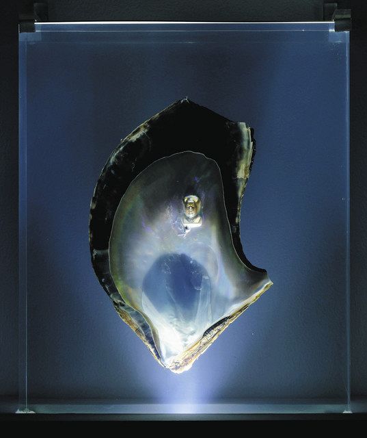 AKI INOMATAさん 個展「Acting Shells