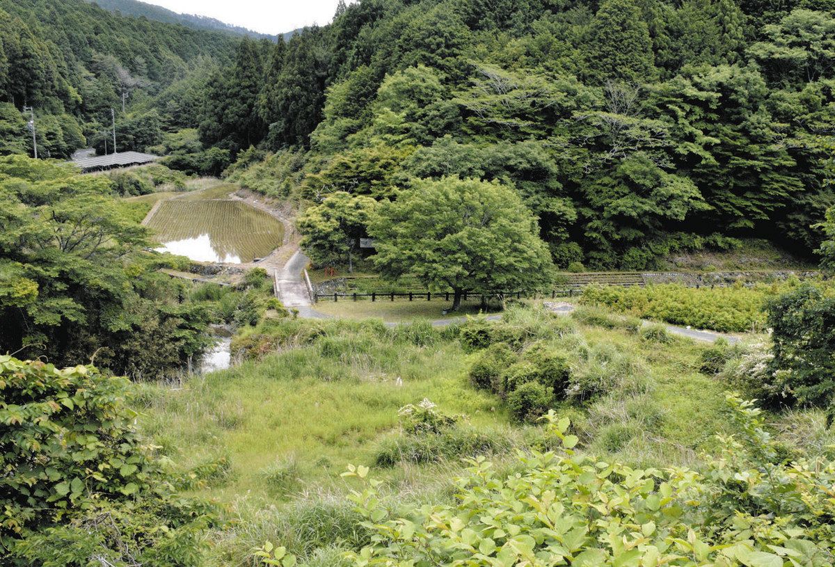 公の場での発言・インタビュー報道記録