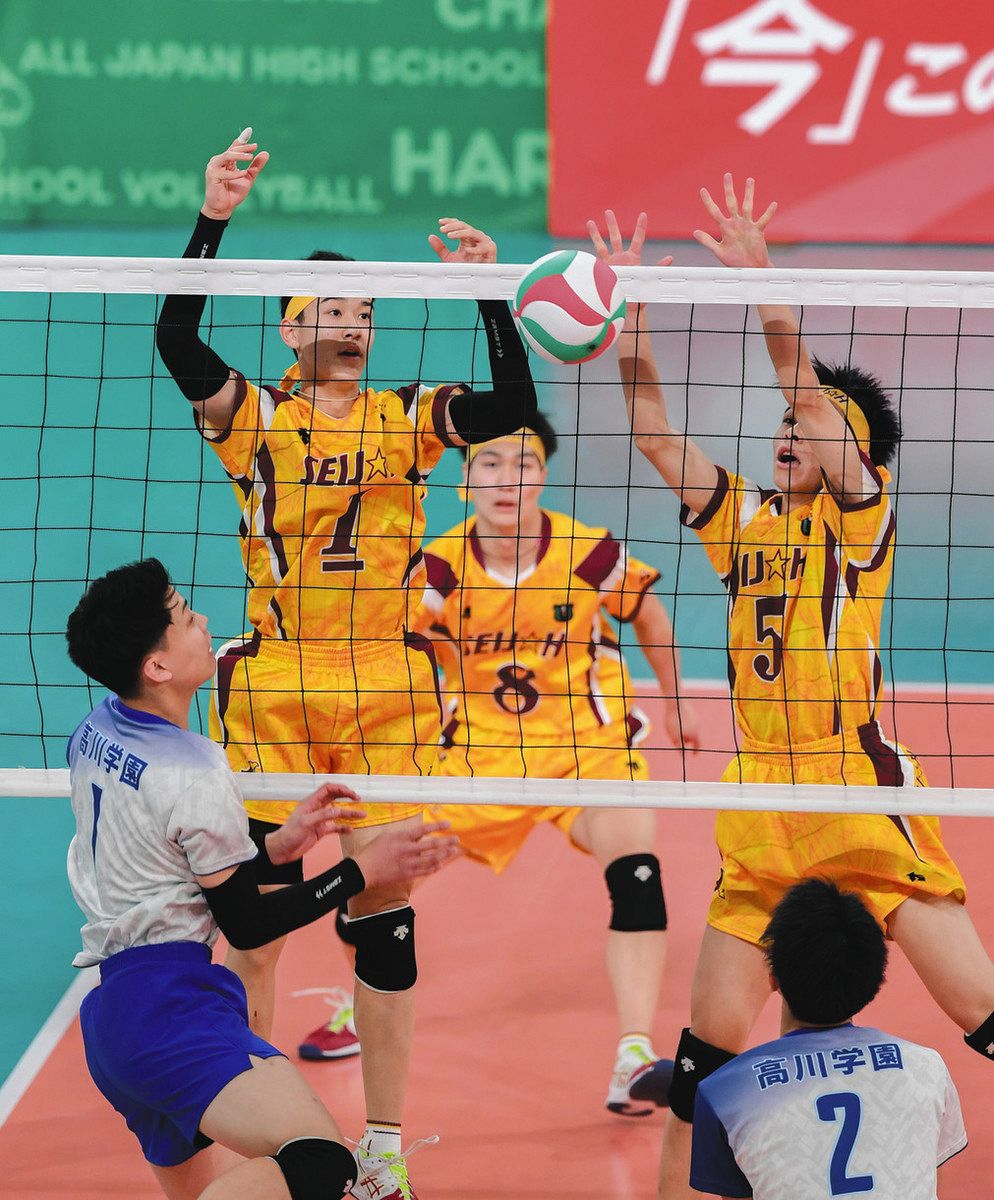 春高バレー、県勢は初戦敗退 男子・星城と女子・誠信：中日新聞Web