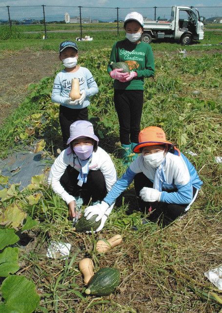 育てたカボチャを親子で収穫 松阪農業公園ベルファーム 中日新聞web