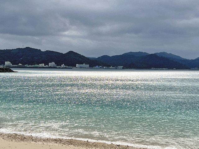 サメなど海洋生物による”損傷”に「怖すぎる」…遺体発見の漫画家高橋