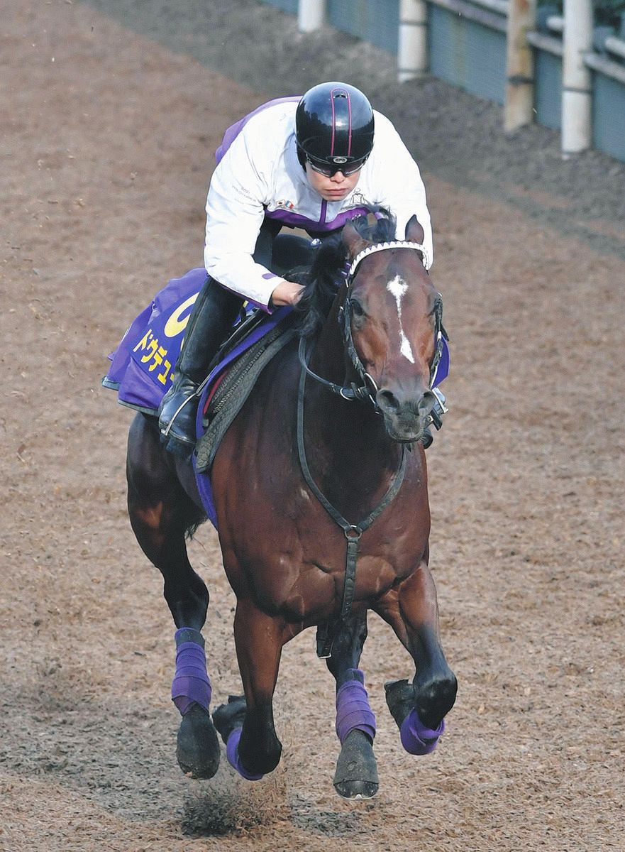 天皇賞・秋 ドウデュース休み明けでも出来は万全、武豊「驚くぐらい
