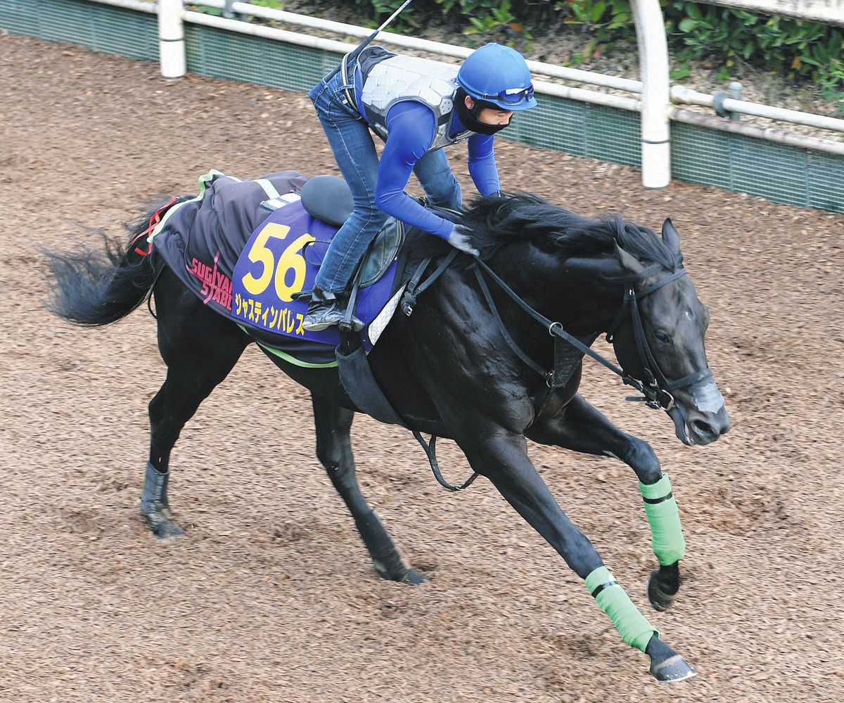 天皇賞・春秋連覇狙うジャスティンパレスは「6枠6番」 山本助手「偶数 