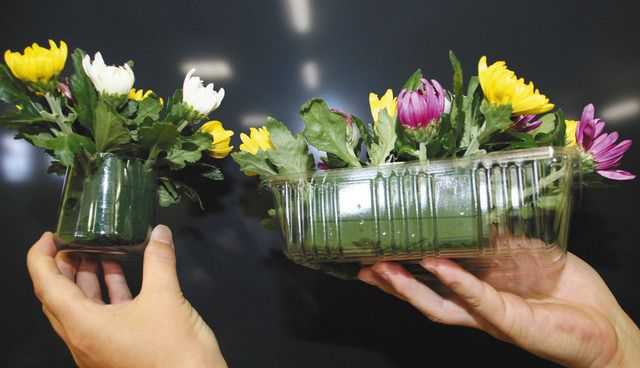 仏花用の輪菊を家庭に飾る 碧南 楽しみ方を提案する展示 中日新聞web