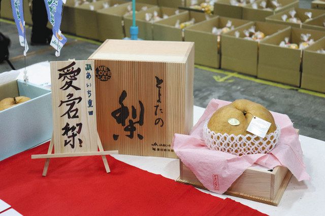 巨大ナシ「愛宕」過去最高値110万円 豊田で初競り：中日新聞Web