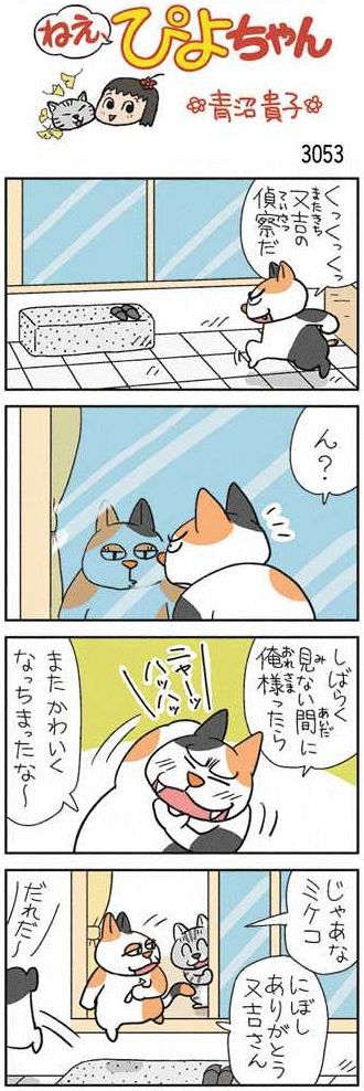 ねえ、ぴよちゃん：中日新聞Web