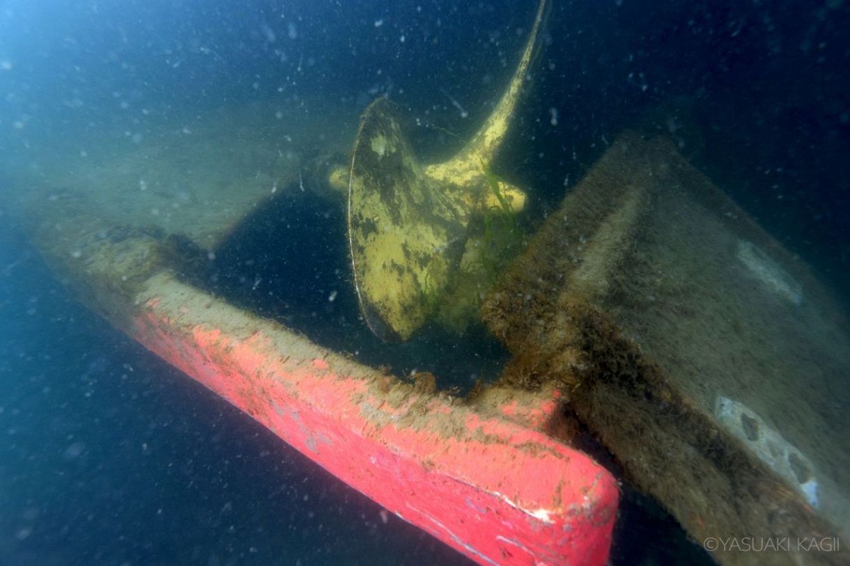 水中写真家・鍵井靖章さんが見た能登 海底に沈んだ御膳や消防団装備