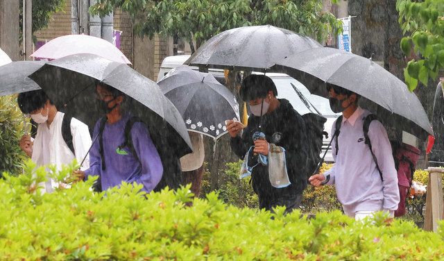 はや梅雨入り 五月晴れどこへ 中日新聞しずおかweb