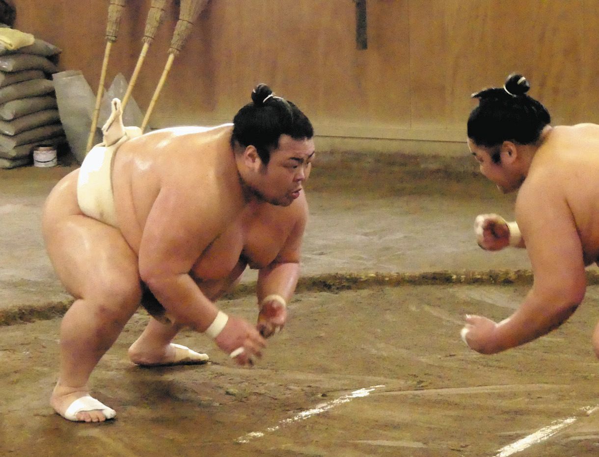 大相撲 反物 武双山（現藤島親方） - 相撲/武道