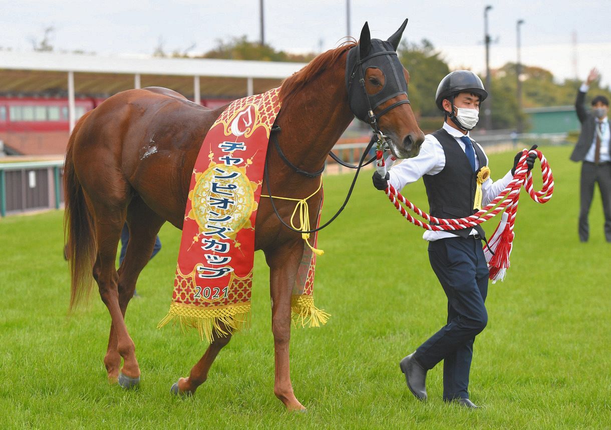 チャンピオンズC】テーオーケインズが6馬身差圧勝 戦国ダート界から 