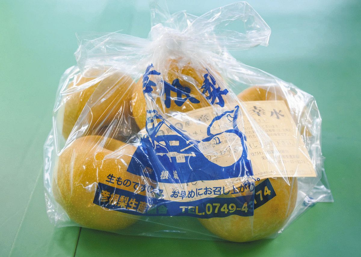 特産「彦根梨」ナフサ不足の余波で値上げへ JA東びわこ生産組合：中日
