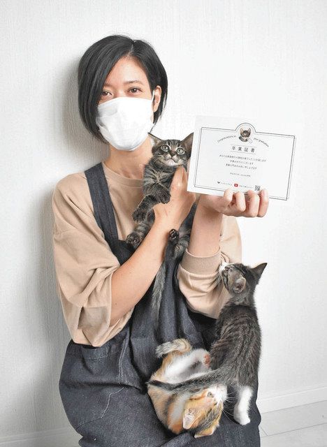 子猫 空き部屋で世話 飼い主見つかるまで 福井のペットホテル 日刊県民福井web