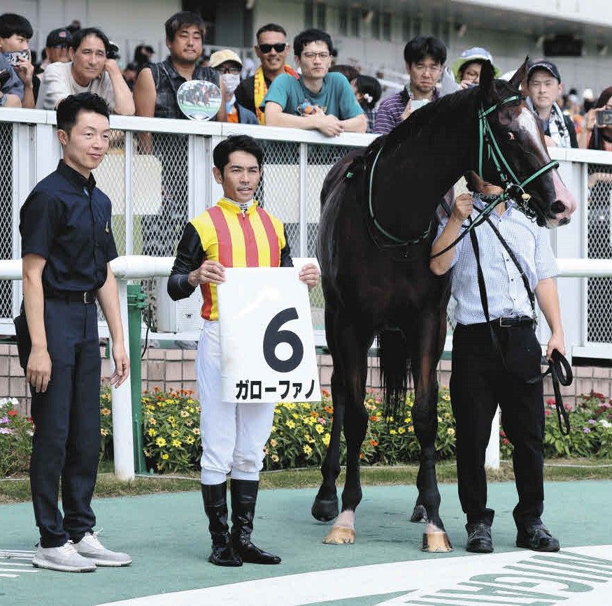 新潟5R新馬】「本気で走ってないのに勝っちゃった」「次も戸崎