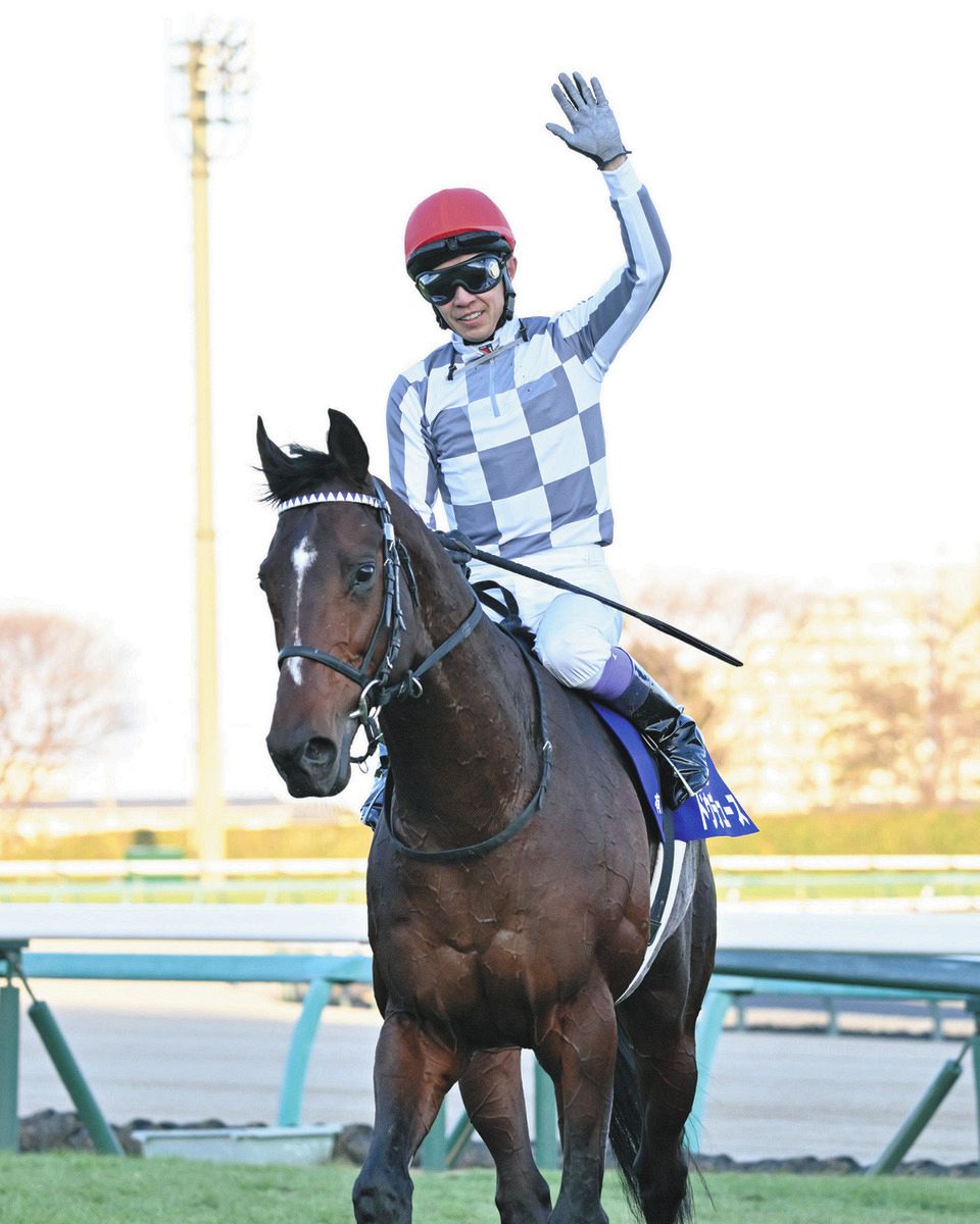 【中古】 競馬の支配者 闇の支配者が着順を決定する/ニュースバリュー/音無俊彦 Amazon.co.jp: 音無 俊彦: 本