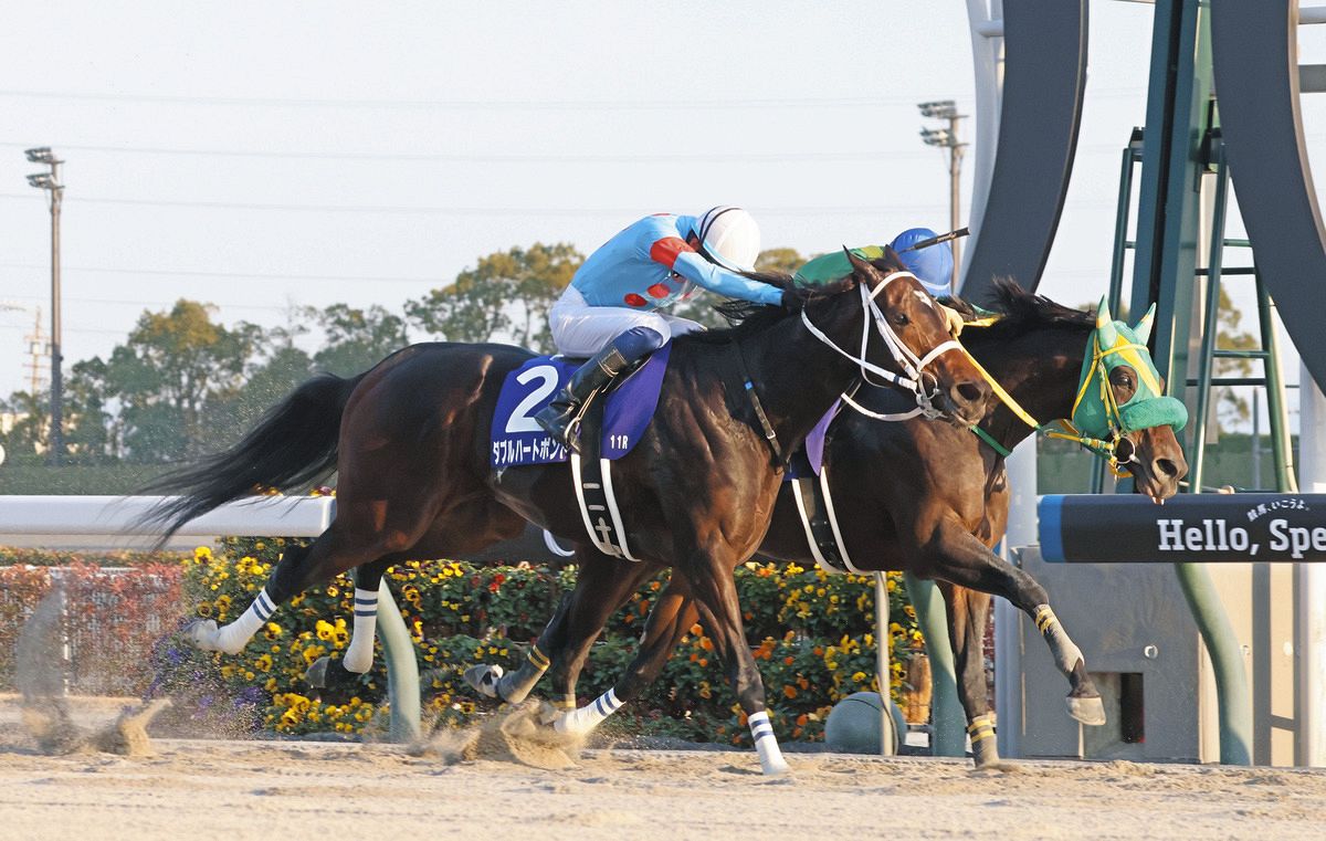 フェブラリーS】特別登録馬22頭を発表、チャンピオンズCの覇者ダブル