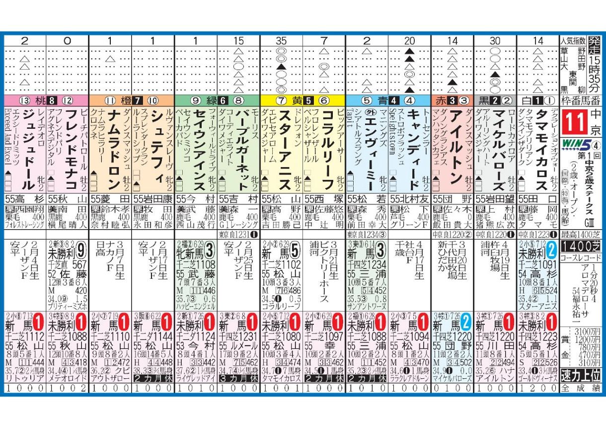 公の場での発言・インタビュー報道記録
