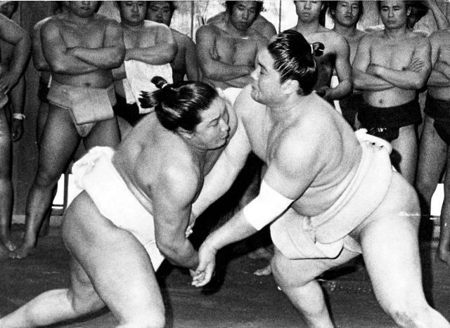 ■相撲■腰紐■大鵬 全盛期の大鵬関に7連勝「参った、北の富士。元気だな。今日は負けた