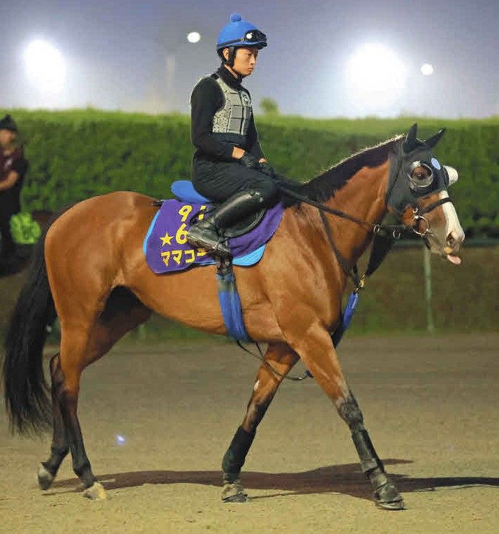有力馬動向】ママコチャはスプリンターズSへ、池江師「中山の方が