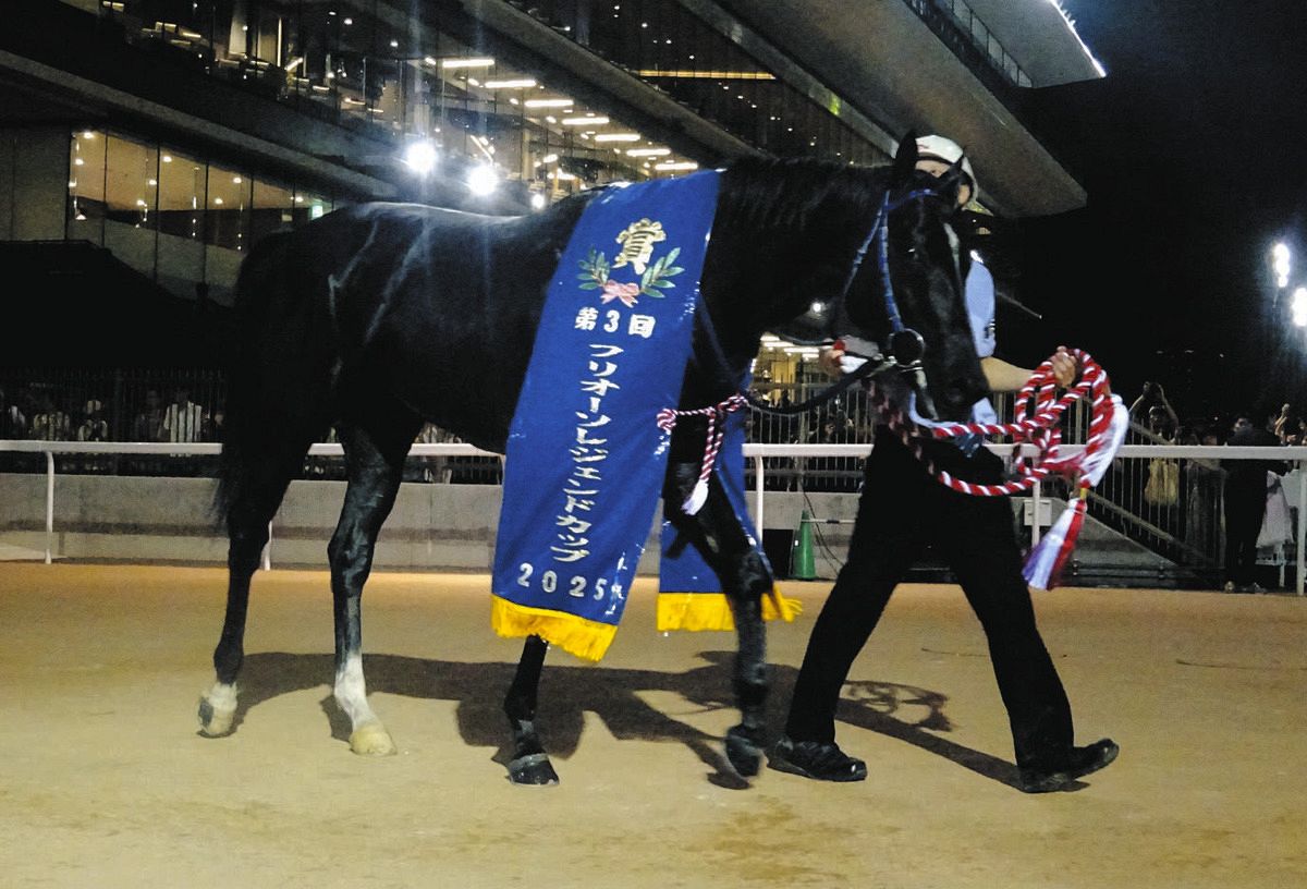 船橋・フリオーソレジェンドC】逃げたサントノーレが直線突き放し8馬身