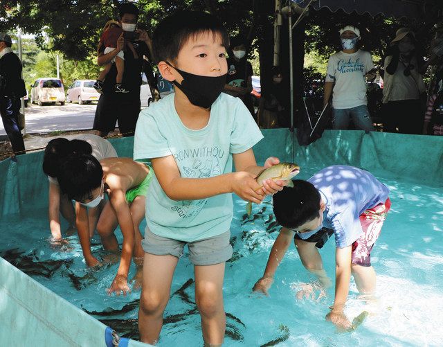 捕まえた 親子楽しむ 犬山桃太郎あゆまつり 中日新聞web 捕まえた 親子楽しむ 犬山桃太郎あゆまつり 中日新聞web