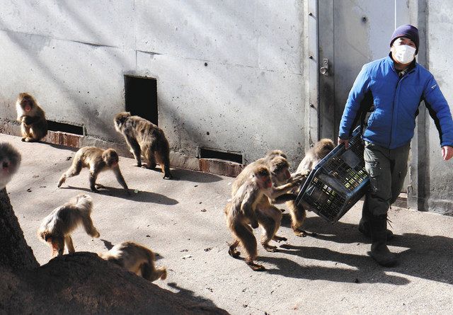 予算足りず給食の余りを餌に 松本の動物園 中日新聞web