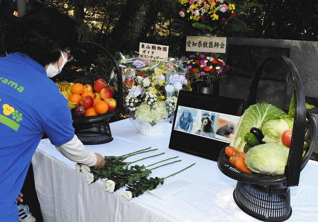 感謝込め 動物たち安らかに 東山動植物園で慰霊祭 中日新聞web