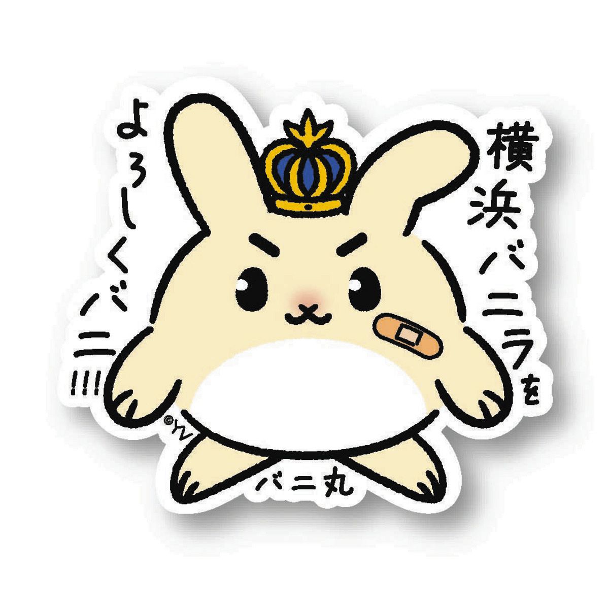 ◇「バニ丸」の特製ステッカー【写真】：中日スポーツ・東京中日スポーツ