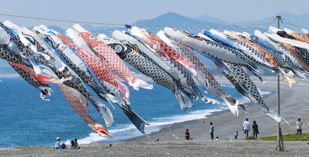 鯉のぼり　7号 maxresdefault.jpg