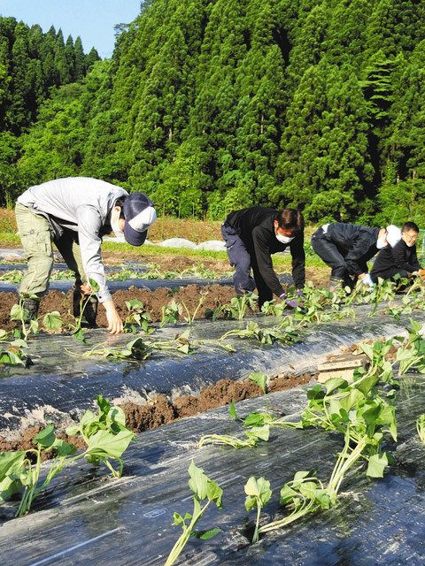 https www chunichi co jp article 263691