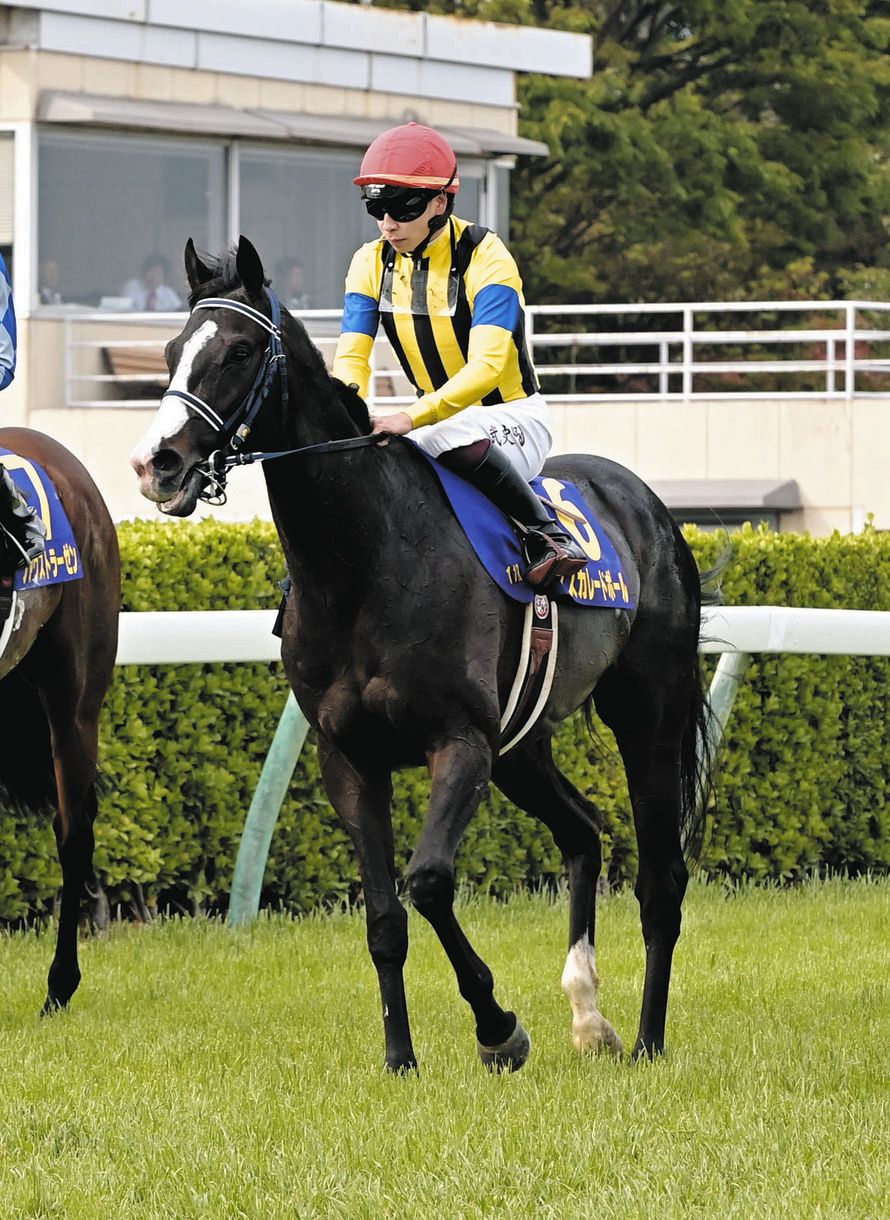 皐月賞3着マスカレードボールは6・1日本ダービーで坂井と再コンビ：中
