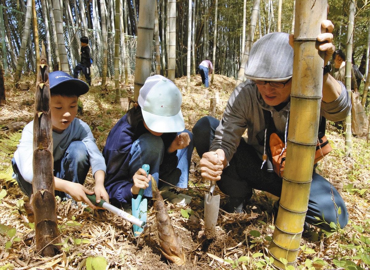 タケノコ掘りで竹林を整備 名古屋・牧野ケ池緑地で300人参加：中日新聞Web