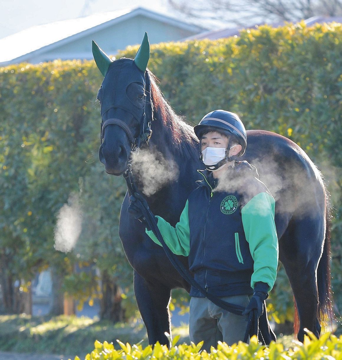 有馬記念枠順確定 一番クジ アカイイトは7枠13番 前回覚醒 暮れの中山でもアッと言わせる 中日スポーツ 東京中日スポーツ