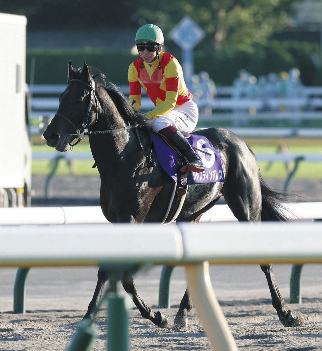 有馬記念 ファン投票1位、2位は出走せず、3位ジャスティンパレスやタイトルホルダーら20頭が登録：中日スポーツ・東京中日スポーツ