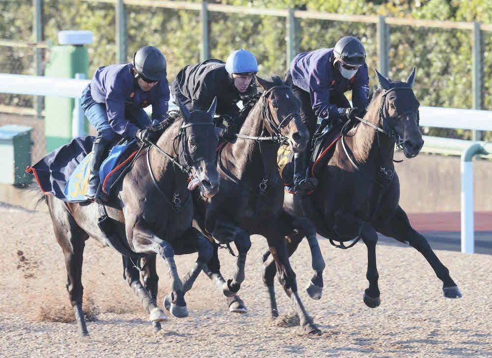 ヘデントールは引っ張り切りの手応えで同入、レーン「まだまだ