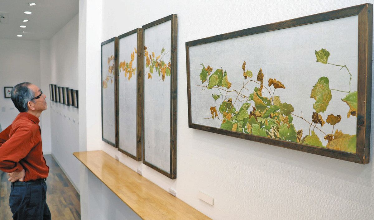 春の草花など油絵17点 越前市画家・前さん 個展始まる：日刊県民福井Web
