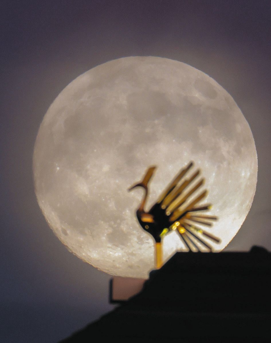 動画・写真特集】中秋の名月、各地の絶景スポットからお届け：中日新聞Web