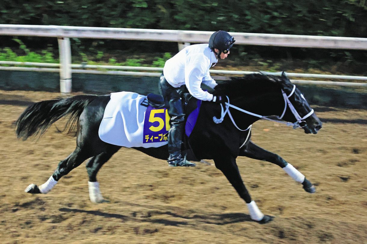 有馬記念の馬 SANSPO - サンスポZBAT!