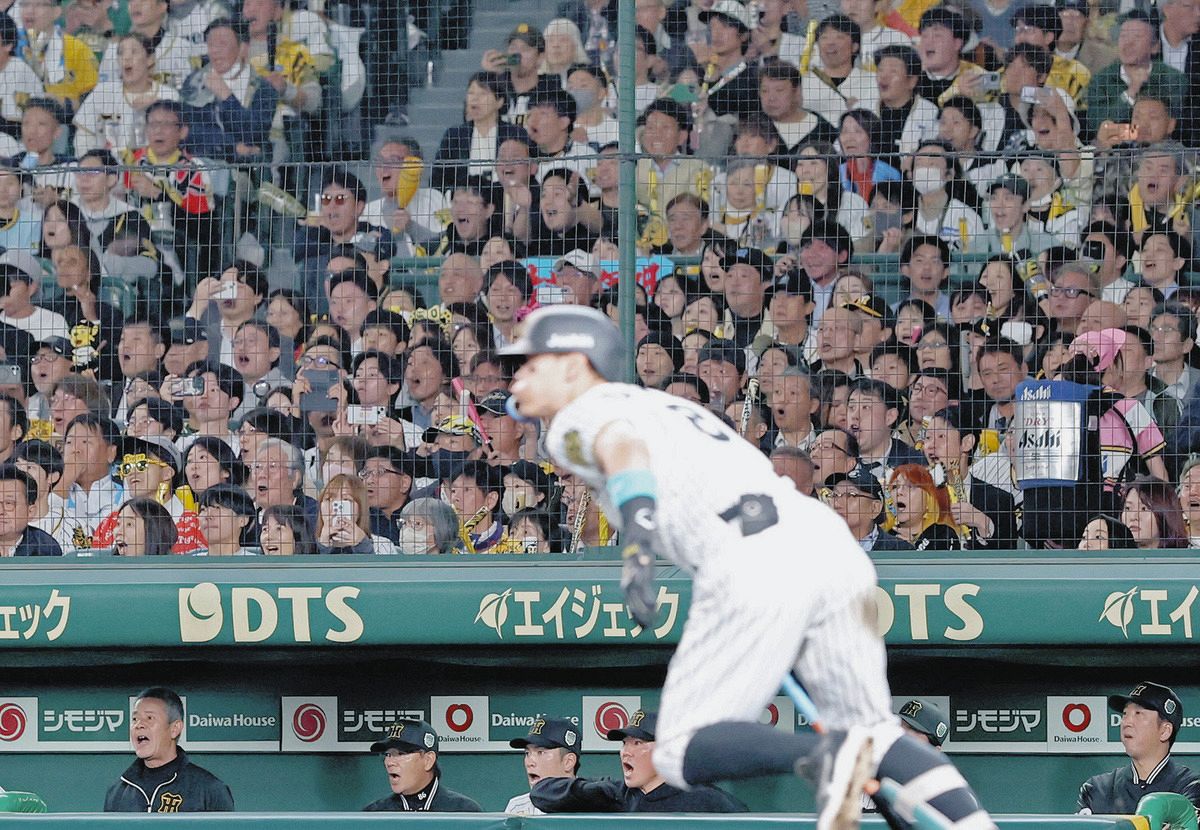 佐藤輝明』『サトテル』Xトレンド入り、「いつ見ても打ってる」「MVP