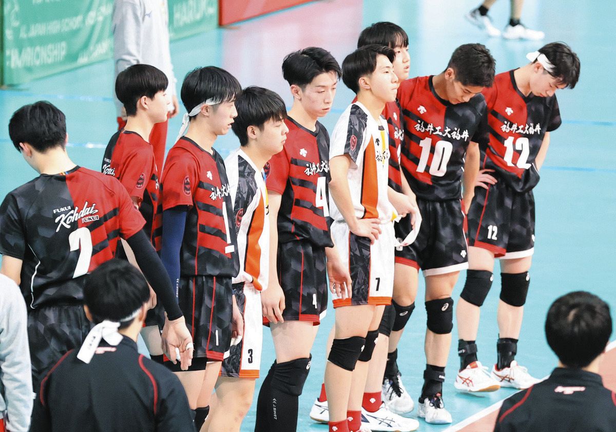 福井工大福井 半袖フリース バレーボール 春高