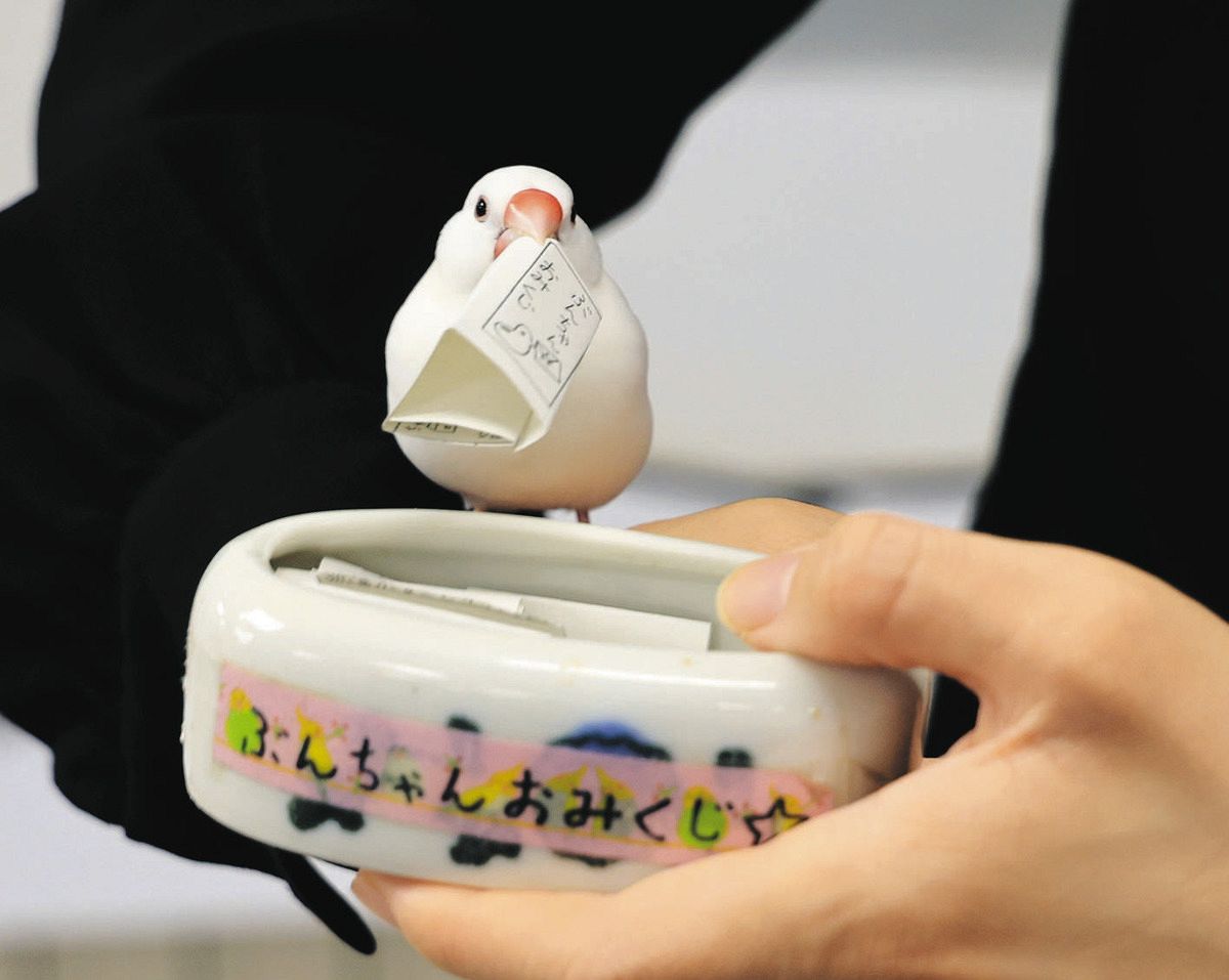 弥富市の「ぶんちゃん」来年5月に引退へ 癒し届け7年、人間なら60～70