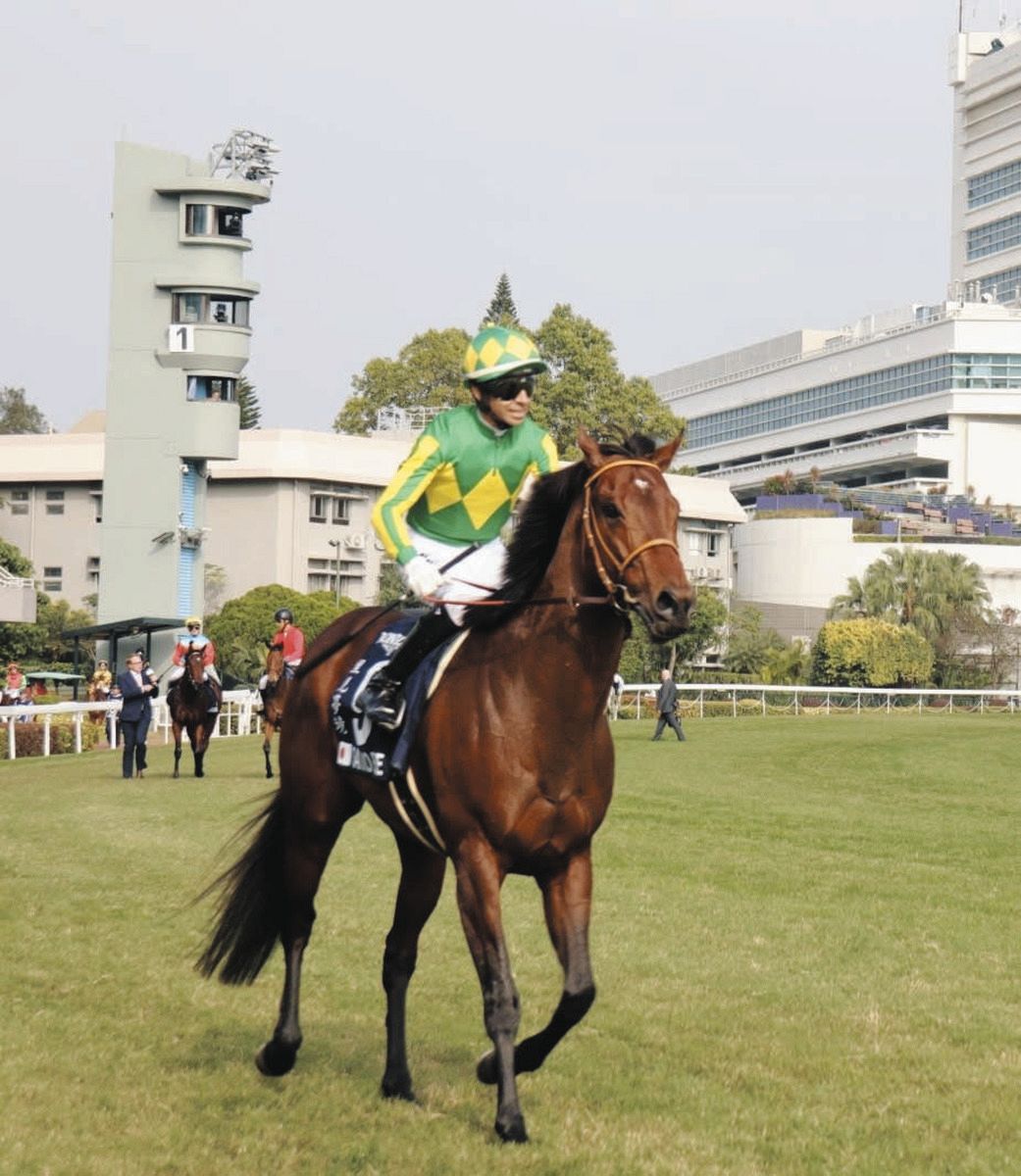 小泉恵未コラム】高松宮記念に香港のスプリント戦3着のサトノレーヴが 