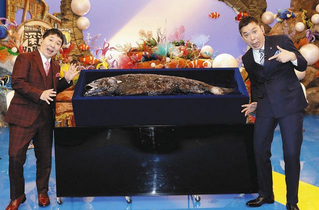 捕獲された奇跡の巨大魚「ヨコヅナイワシ」に驚く爆笑問題の太田光（右）と田中裕二
