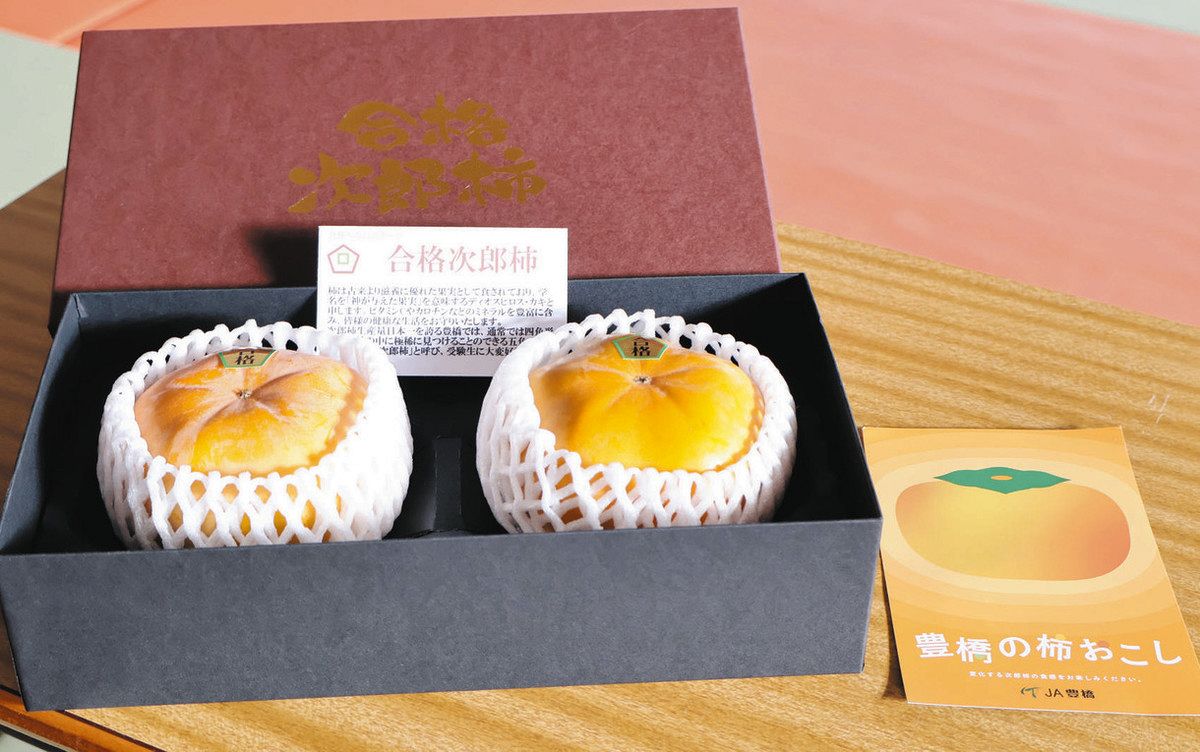 ふるさと納税 豊橋石巻町の「まるごと次郎柿セット」 愛知県豊橋市 ふるさと納税 「≪先行予約≫ 数量限定 生産量日本一 愛知県豊橋産